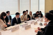 Общий вид встречи.