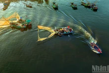 Бодрое утро на рыбном причале Нгитхюи