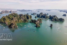 Благодаря своей уникальной и неповторимой красоте залив Халонг дважды была признана объектом Всемирного наследия. Фото: ВИА