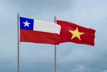 Обмен поздравительными телеграммами по случаю 55-летия установления дипломатических отношений между Вьетнамом и Чили