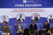 Спикеры участвуют в дискуссии о будущем возобновляемой энергетики во Вьетнаме. Фото: ВИА