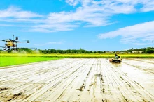 Фермеры города Кантхо применяют высокие технологии в производстве.