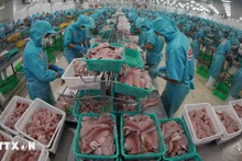 Переработка пангасиуса. Фото: ВИА