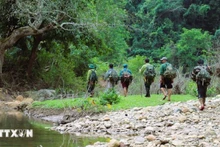 Группа по изучению биоразнообразия, собирающая образцы и устанавливающая фотоловушки, продвигается в ядровую зону подучастка 729 природного заповедника Пухуонг. Фото: ВИА