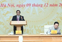 Премьер-министр Фам Минь Тьинь выступает на заседании. Фото: Чан Хай