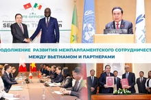 Продолжение развития межпарламентского сотрудничества между Вьетнамом и партнерами