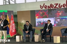Член вьетнамской делегации выступает на дискуссии. Фото: ВИА