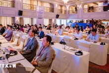 Общий вид конференции. Фото: ВИА