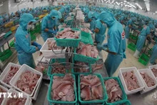 Переработка рыбы для экспорта. Фото: ВИА