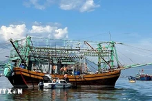 Пограничные войска города Дананг проверяют документы рыболовных судов перед выходом в море. Фото: ВИА