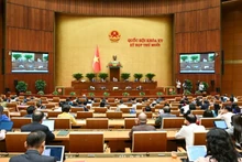 Общий вид 8-го рабочего дня. Фото: Зюи Линь