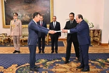 Посол Нгуен Нам Зыонг вручает верительные грамоты Президенту Египта Абделю Фаттаху ас-Сиси. Фото: Посольство Вьетнама в Египте