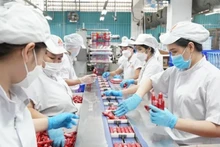 Работает линия упаковки продукции на «зелёном» предприятии — Акционерной компании «Вьетнамская мясная индустрия» (Vissan). Фото: sggp.org.vn