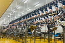 Современная производственная линия внутри завода по переработке мяса птицы. Фото: ВИА