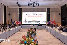 Общий вид совещания. Фото: ВИА