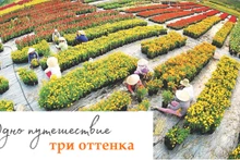 Одно путешествие – три оттенка