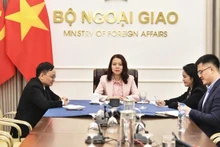 Заместитель министра иностранных дел Нгуен Минь Ханг во время разговора. Фото: baoquocte.vn