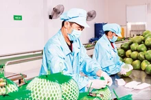 Фото: Минь Ань