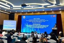 Общий вид семинара. Фото: BNews