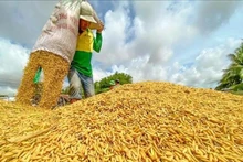 Фото: ВИА