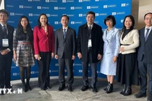 Вьетнамская делегация на 222-й сессии Исполнительного совета ЮНЕСКО. Фото: ВИА