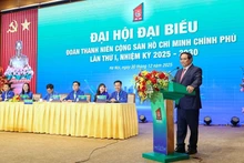 Премьер-министр Фам Минь Тьинь выступает на конференции. Фото: VGP