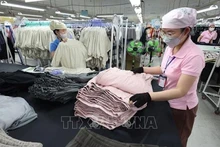 Фабрика компании MSV с 100% японскими инвестициями в индустриальном парке Фубай, город Хюэ. Фото: ВИА