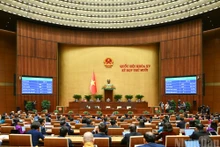 Заседание в ремках 10-й сессии НС XV созыва. Фото: Зюи Линь