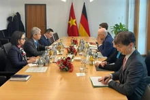 Общий вид рабочей встречи. Фото: Посольство Вьетнама в Германии