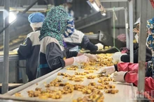 Очистка свежего имбиря перед переработкой на заводе компании DACE в Ханое. 