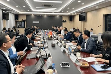 Общий вид встречи. Фото: moit.gov.vn