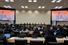 Посол До Хунг Вьет выступает на диалоге. Фото: baoquocte.vn