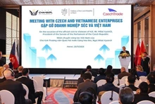 Общий вид встречи. Фото: ВИА