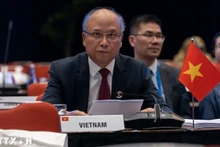 Посол Динь Тоан Тханг выступает на конференции. Фото: ВИА