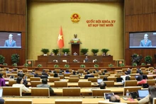 Общий вид заседания 20 ноября. Фото: Зюи Линь