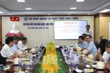 Общий вид рабочей встречи. Фото: ВИА