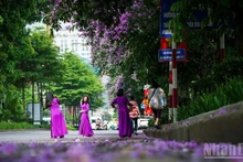 Улица в Ханое. Фото: Тхань Дат