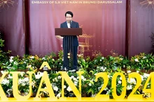 Посол Вьетнама в Брунее Чан Ань Ву.