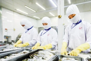 Поиск решений для укрепления позиций аграрной продукции и расширения рынков сбыта