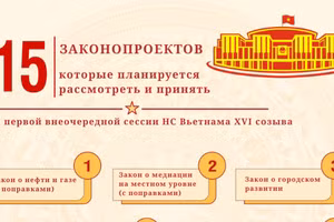 [Инфографика] 15 законопроектов, которые планируется рассмотреть и принять на первой внеочередной сессии НС Вьетнама XVI созыва