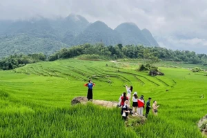 Проект «Экологически талантливые направления» ориентирован на содействие развитию устойчивого и инклюзивного туризма в четырёх странах – Вьетнаме, Кабо-Верде, Камбодже и Коморских Островах. (Фото: ВИА)
