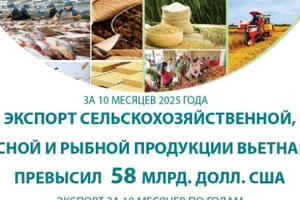 Экспорт сельскохозяйственной, лесной и рыбной продукции вырос почти на 13% за 10 месяцев