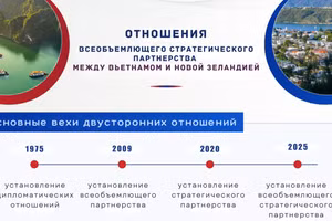 [Инфографика] Отношения всеобъемлющего стратегического партнерства между Вьетнамом и Новой Зеландией