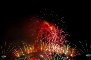 [Фото] Мир встречает Новый 2026 год