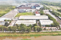 Переход к зеленому производству не только имеет важное значение для каждой компании, но и воздействует на всю цепочку поставок. Фото: Тхэ Ань