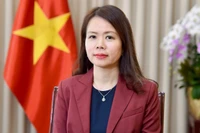 Замминистра иностранных дел Нгуен Минь Ханг. Фото: baoquocte.vn