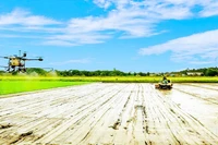 Фермеры города Кантхо применяют высокие технологии в производстве.