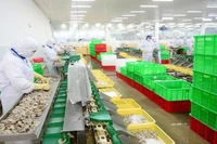 EVFTA открывает большие возможности для увеличения экспорта вьетнамской сельскохозяйственной продукции на рынок ЕС.