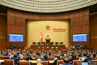 Заседание в ремках 10-й сессии НС XV созыва. Фото: Зюи Линь