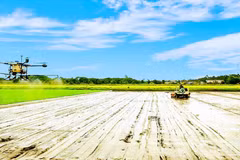 Фермеры города Кантхо внедряют высокие технологии в сельскохозяйственное производство.